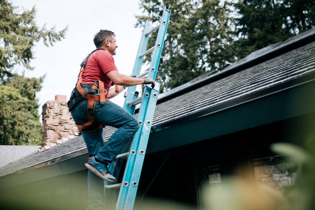 Asphalt Shingles Roofing in Von Ormy, TX